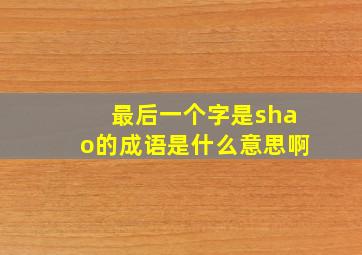 最后一个字是shao的成语是什么意思啊