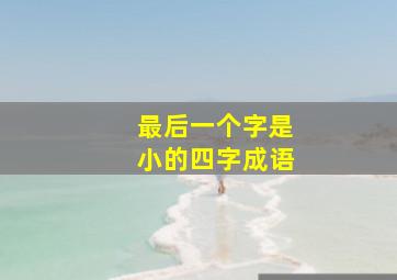 最后一个字是小的四字成语