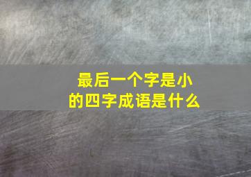 最后一个字是小的四字成语是什么