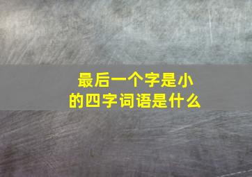 最后一个字是小的四字词语是什么