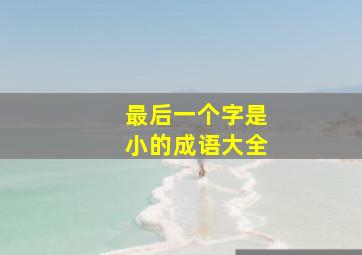 最后一个字是小的成语大全