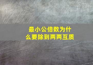 最小公倍数为什么要除到两两互质