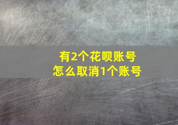 有2个花呗账号怎么取消1个账号