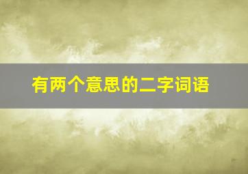 有两个意思的二字词语