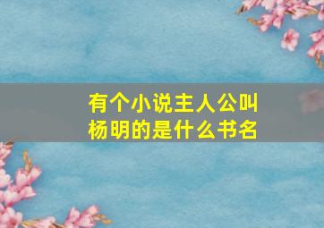 有个小说主人公叫杨明的是什么书名