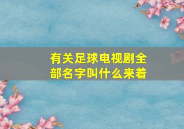 有关足球电视剧全部名字叫什么来着