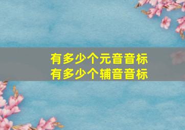 有多少个元音音标有多少个辅音音标