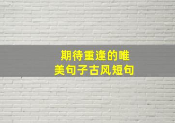 期待重逢的唯美句子古风短句