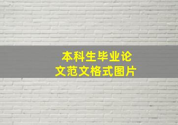 本科生毕业论文范文格式图片