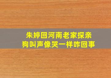 朱婷回河南老家探亲狗叫声像哭一样咋回事