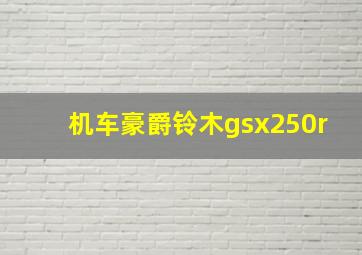 机车豪爵铃木gsx250r