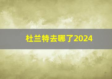 杜兰特去哪了2024