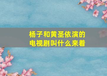 杨子和黄圣依演的电视剧叫什么来着