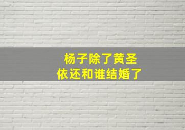 杨子除了黄圣依还和谁结婚了