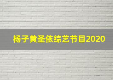 杨子黄圣依综艺节目2020