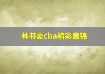 林书豪cba精彩集锦