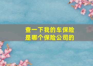 查一下我的车保险是哪个保险公司的