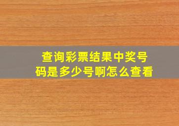 查询彩票结果中奖号码是多少号啊怎么查看