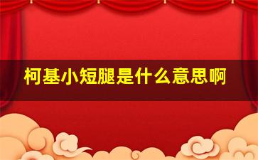 柯基小短腿是什么意思啊