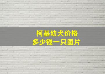 柯基幼犬价格多少钱一只图片