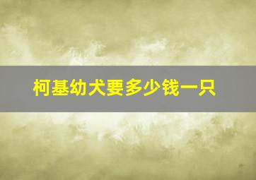 柯基幼犬要多少钱一只