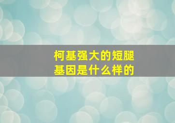 柯基强大的短腿基因是什么样的