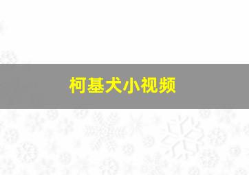 柯基犬小视频