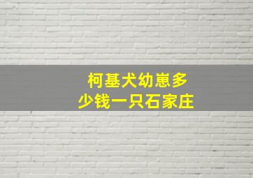 柯基犬幼崽多少钱一只石家庄