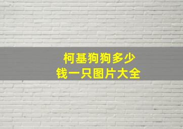 柯基狗狗多少钱一只图片大全