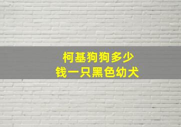 柯基狗狗多少钱一只黑色幼犬