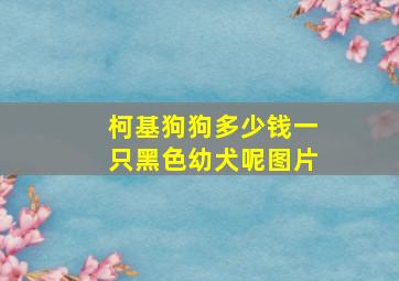 柯基狗狗多少钱一只黑色幼犬呢图片