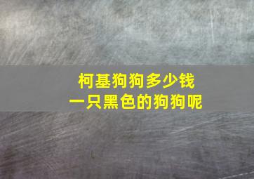 柯基狗狗多少钱一只黑色的狗狗呢