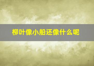 柳叶像小船还像什么呢