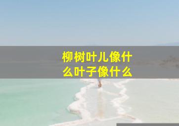 柳树叶儿像什么叶子像什么