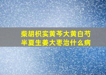 柴胡枳实黄芩大黄白芍半夏生姜大枣治什么病