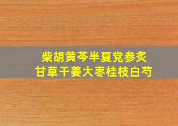 柴胡黄芩半夏党参炙甘草干姜大枣桂枝白芍