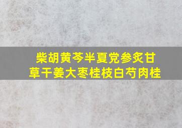 柴胡黄芩半夏党参炙甘草干姜大枣桂枝白芍肉桂