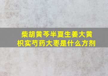 柴胡黄芩半夏生姜大黄枳实芍药大枣是什么方剂