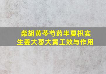 柴胡黄芩芍药半夏枳实生姜大枣大黄工效与作用