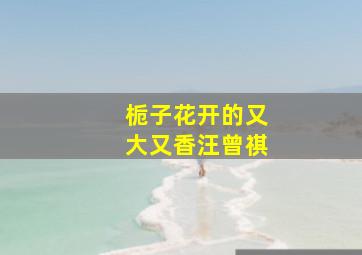 栀子花开的又大又香汪曾祺