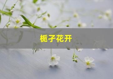 栀孑花开