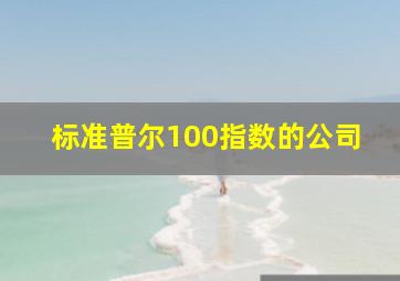 标准普尔100指数的公司