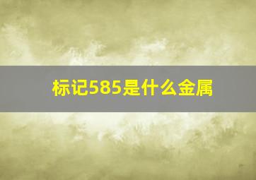 标记585是什么金属