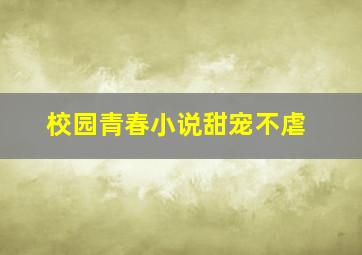 校园青春小说甜宠不虐