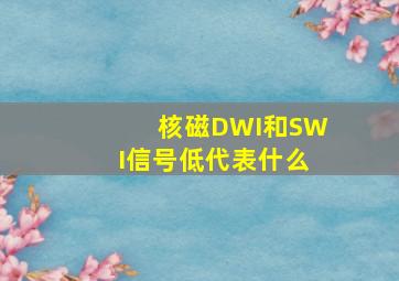 核磁DWI和SWI信号低代表什么