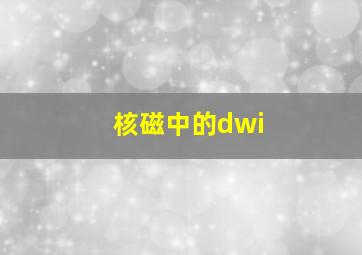 核磁中的dwi