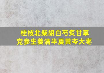 桂枝北柴胡白芍炙甘草党参生姜清半夏黄岑大枣