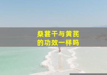 桑葚干与黄芪的功效一样吗