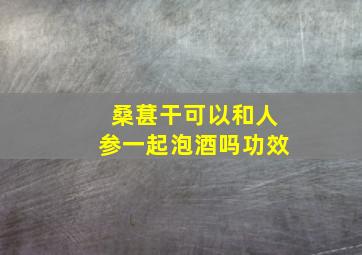 桑葚干可以和人参一起泡酒吗功效