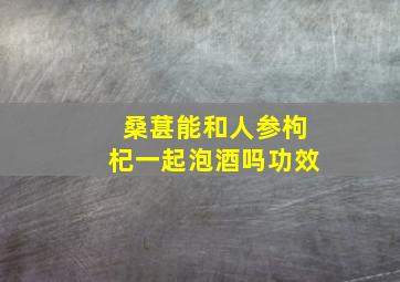 桑葚能和人参枸杞一起泡酒吗功效